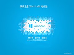 <font color='#339900'>ϵͳ֮64λwin11ˬذv2025.05</font>