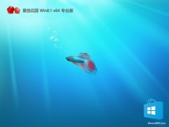 ѻ԰win8.1ƶ64λv2025.05