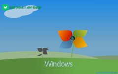 ̲ϵͳwin8.1 64λƷv2025.05