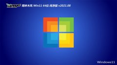 ľWindows11 ҵ64λ 2021.08